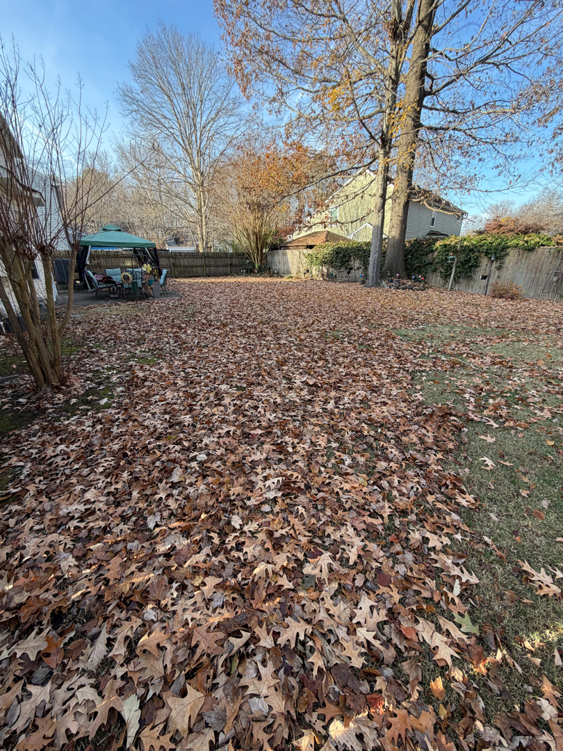 Seasonal property cleanup with leaves and debris cleared